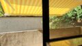 Balkon mit Markise