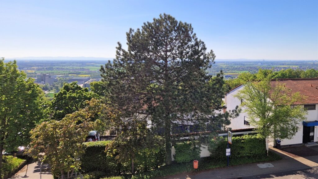 Ausblick Rheineben