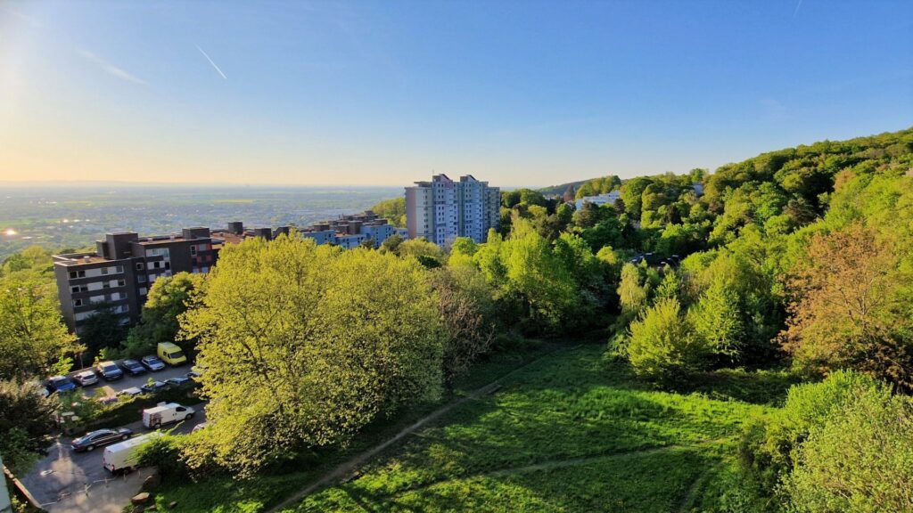 Ausblick ins Grüne