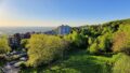 Ausblick ins Grüne