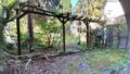 Blick in den Garten