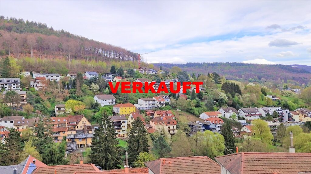 Ausblick auf Ziegelhausen